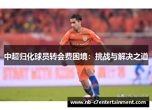中超归化球员转会费困境：挑战与解决之道