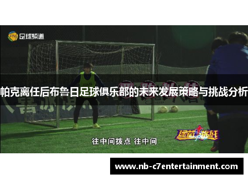 帕克离任后布鲁日足球俱乐部的未来发展策略与挑战分析