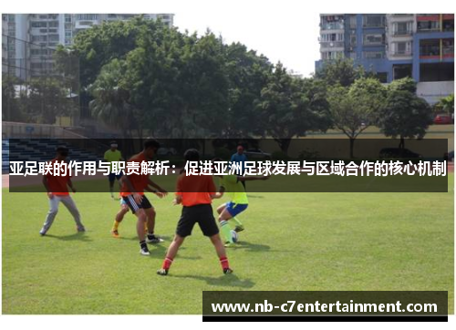 亚足联的作用与职责解析：促进亚洲足球发展与区域合作的核心机制