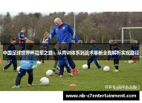 中国足球世界杯冠军之路：从青训体系到战术革新全面解析实现路径
