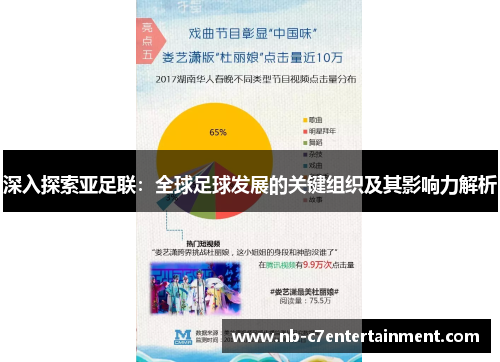 深入探索亚足联：全球足球发展的关键组织及其影响力解析