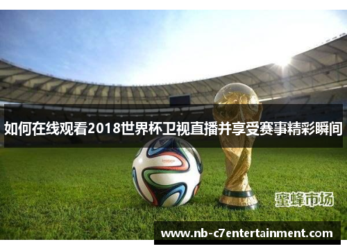 如何在线观看2018世界杯卫视直播并享受赛事精彩瞬间