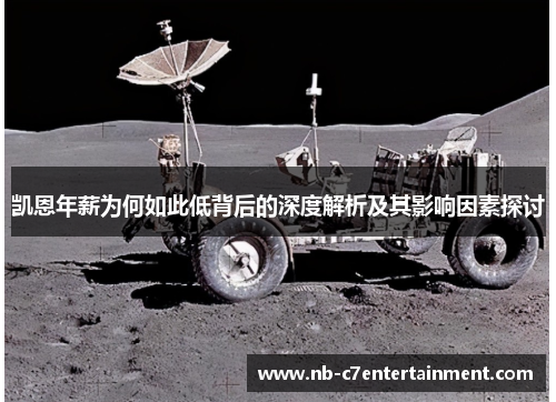 凯恩年薪为何如此低背后的深度解析及其影响因素探讨