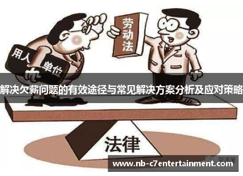 解决欠薪问题的有效途径与常见解决方案分析及应对策略