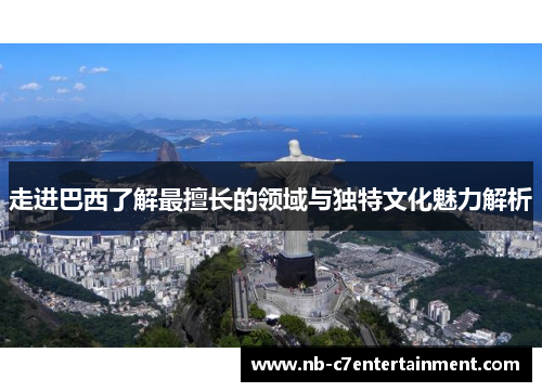 走进巴西了解最擅长的领域与独特文化魅力解析