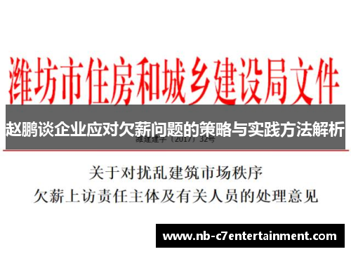 赵鹏谈企业应对欠薪问题的策略与实践方法解析