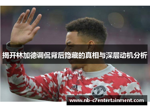 揭开林加德调侃背后隐藏的真相与深层动机分析