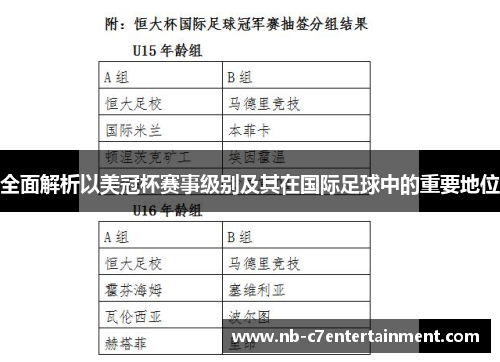 全面解析以美冠杯赛事级别及其在国际足球中的重要地位