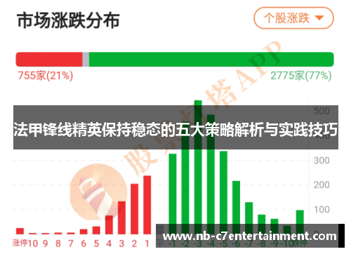 法甲锋线精英保持稳态的五大策略解析与实践技巧